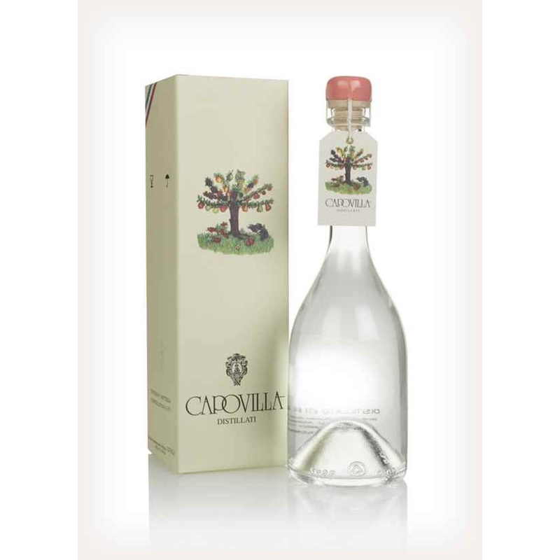 Capovilla Pesche Saturno Brandy | 500ML